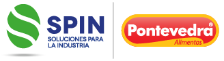 SPIN